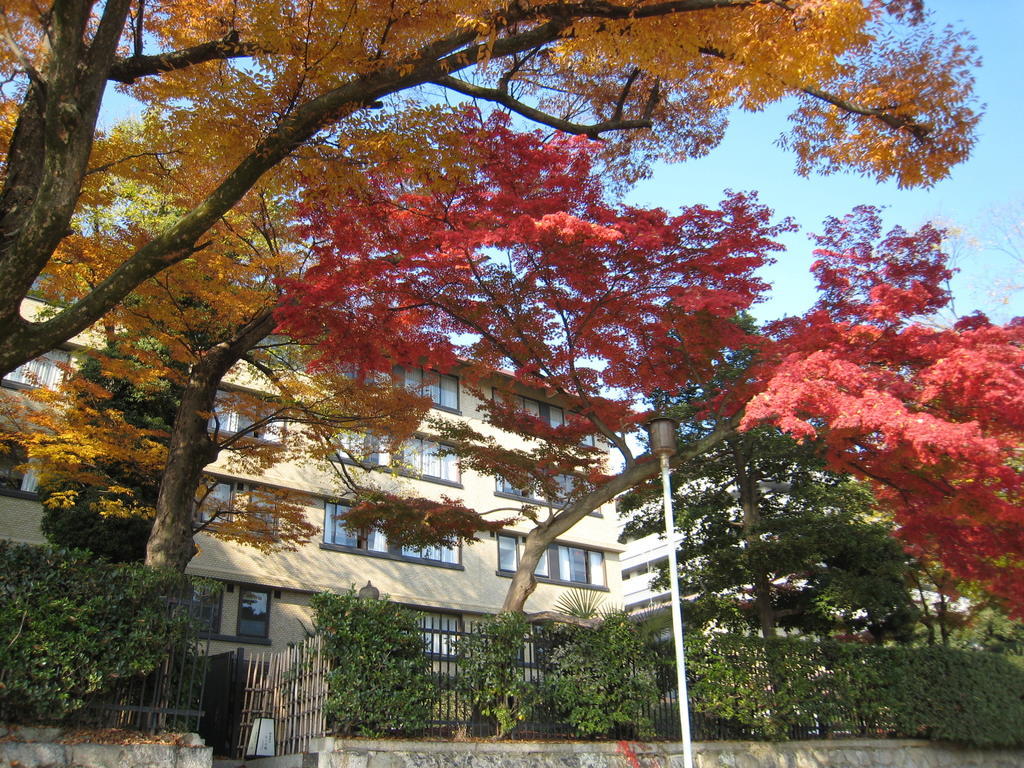 เคเคอาร์ เกียวโต คุนิโซ Hotel ภายนอก รูปภาพ